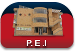 P.E.I - Proyecto Educativo Institucional
